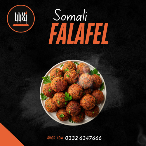 SAMOLI FALAFEL